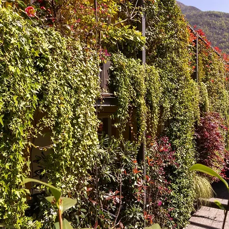 Tatil Evi Casa Coppa Ivy Omegna