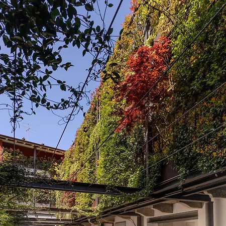 Casa Coppa Ivy Omegna